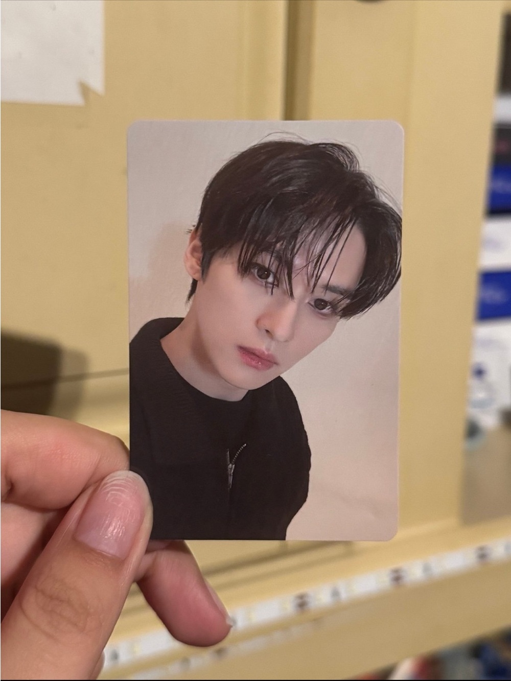 Stray Kids Lee Know Ate Nemoz Photocard